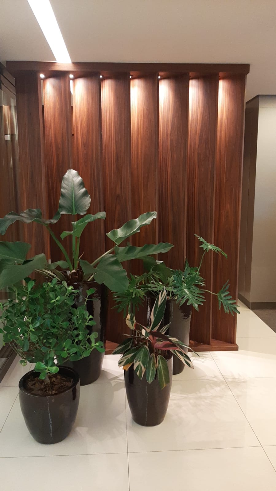 WhatsApp Image 2021-08-23 at 1.34.45 PM.jpeg